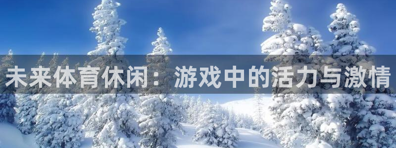 未来体育休闲：游戏中的活力与激情