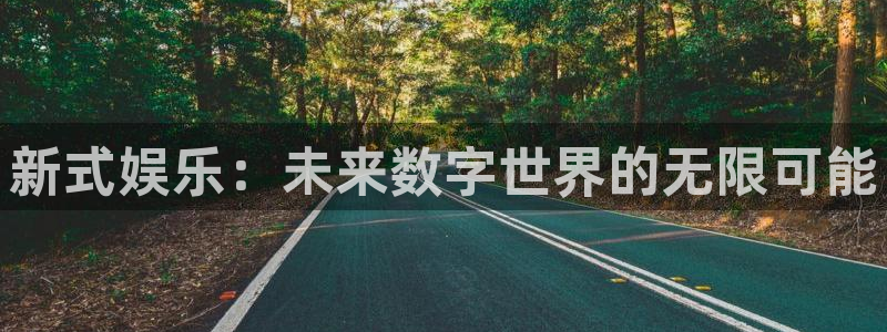 新式娱乐：未来数字世界的无限可能