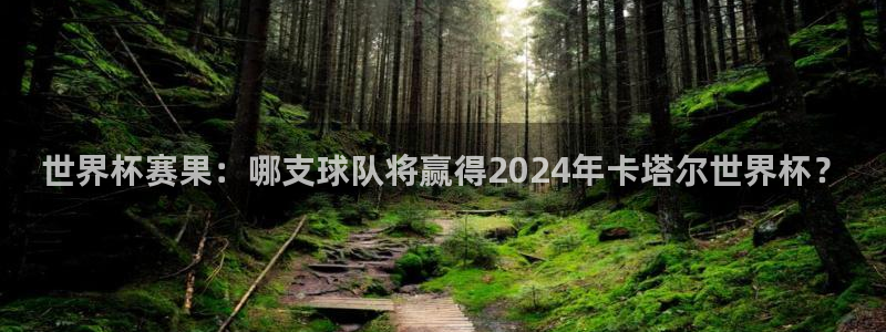 世界杯赛果：哪支球队将赢得2024年卡塔尔世界杯？