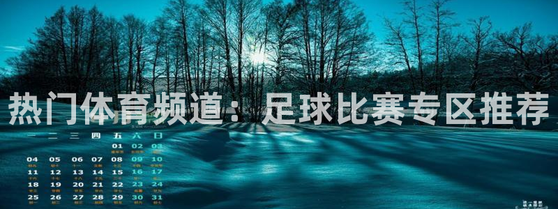 热门体育频道：足球比赛专区推荐