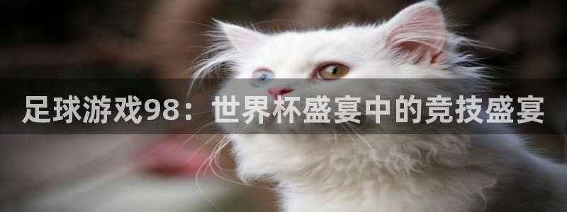 足球游戏98：世界杯盛宴中的竞技盛宴
