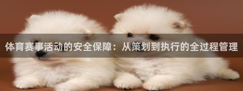 体育赛事活动的安全保障：从策划到执行的全过程管理