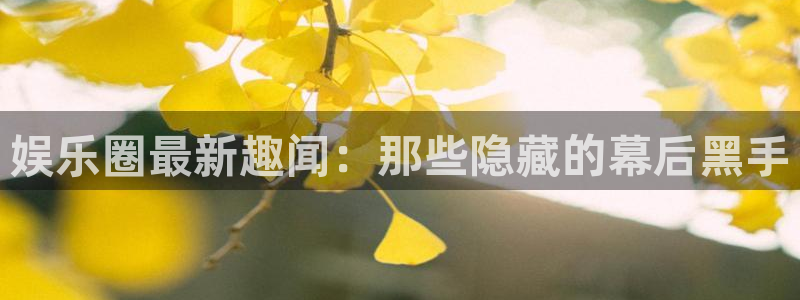娱乐圈最新趣闻：那些隐藏的幕后黑手
