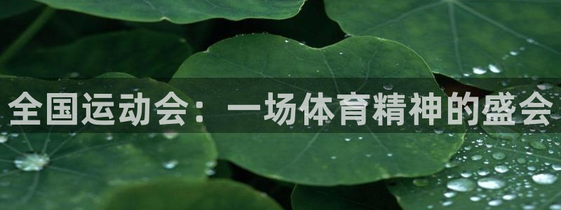 全国运动会：一场体育精神的盛会