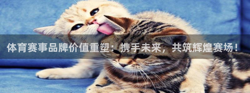 体育赛事品牌价值重塑：携手未来，共筑辉煌赛场！