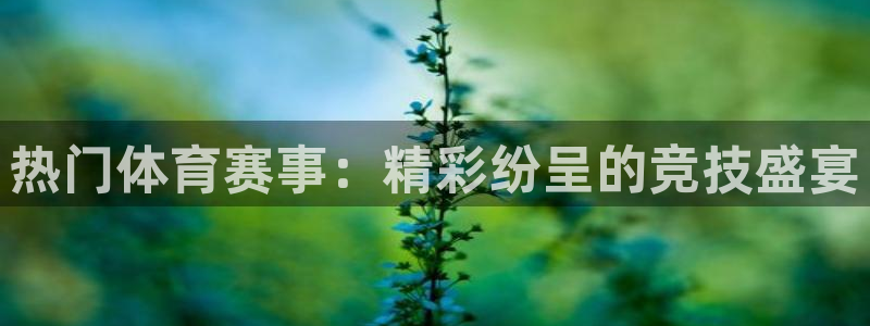热门体育赛事：精彩纷呈的竞技盛宴