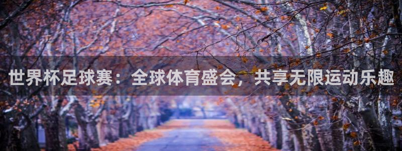 世界杯足球赛：全球体育盛会，共享无限运动乐趣